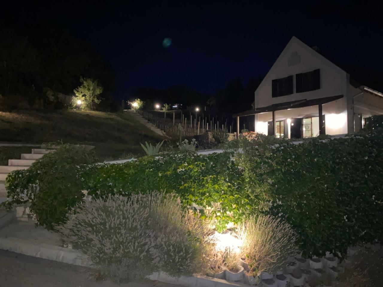 Borbora Borhaz Villa Vászoly Kültér fotó